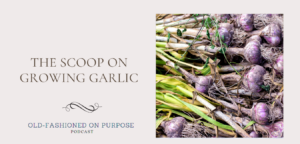 147.  The Scoop on Growing Garlic