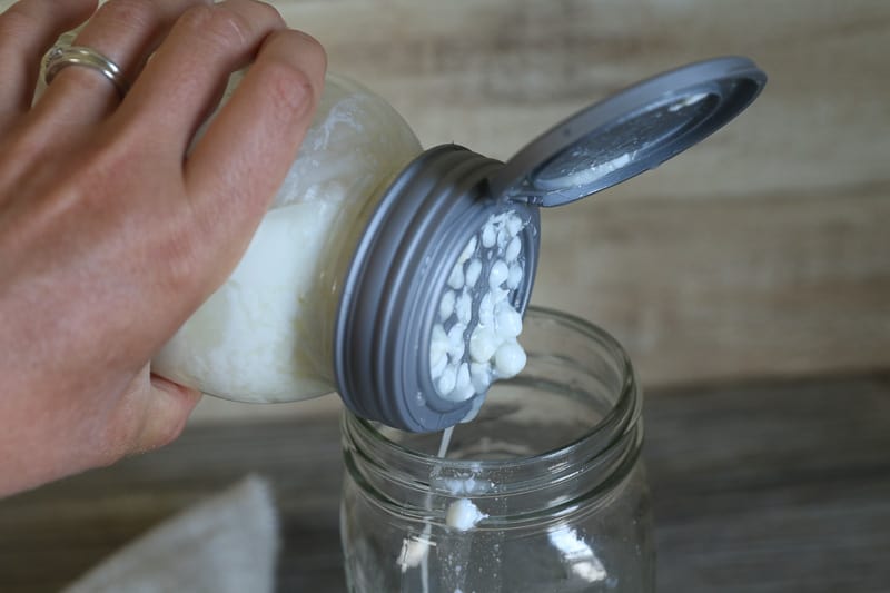 How to Use Up Extra Milk from a Family Milk Cow: Making Milk Kefir