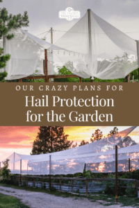 Hail Protection for the Garden