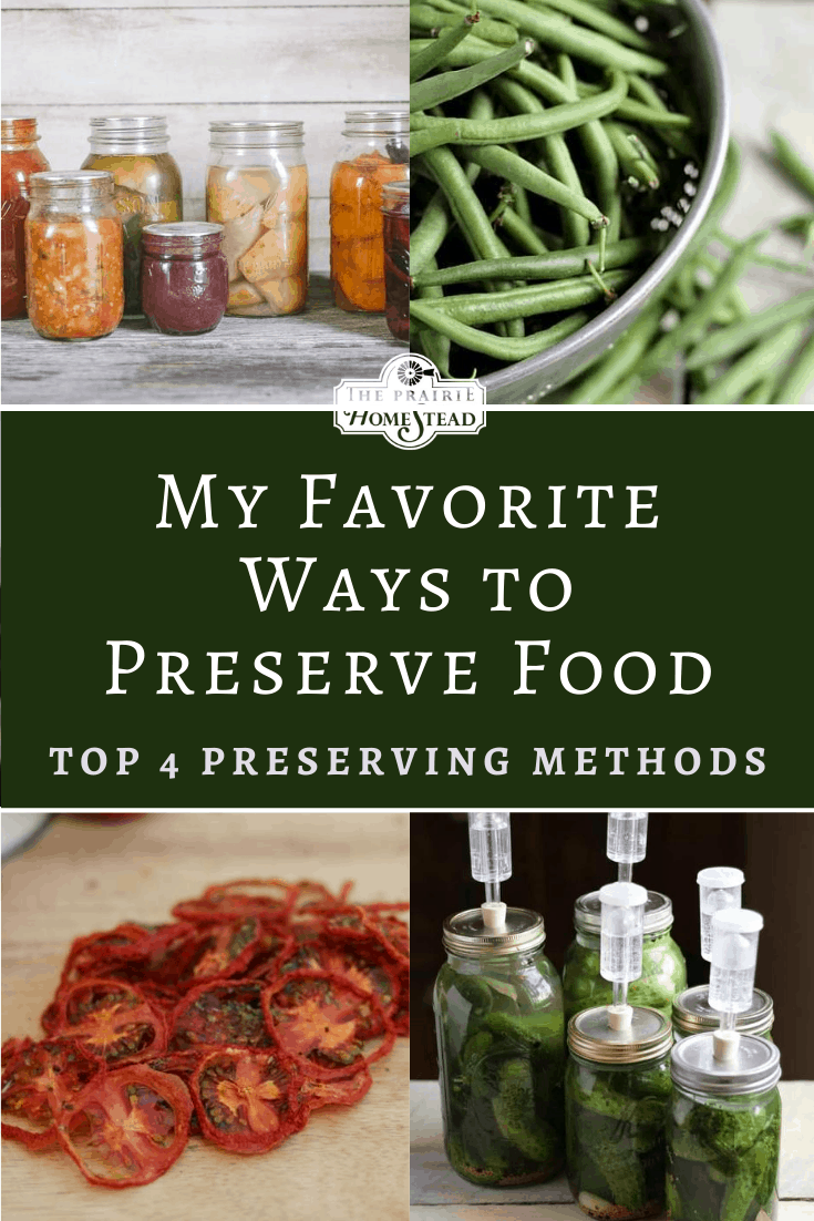 Ways for Preserving Food at Home