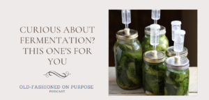 159.  Curious about Fermentation? This One’s for You