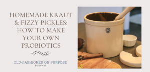 161.  Homemade Kraut & Fizzy Pickles: How to Make Your Own Probiotics