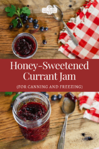 Honey-Sweetened Currant Jam