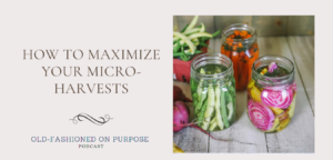 157.  How to Maximize your Micro-Harvests