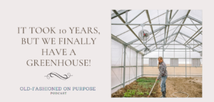 164.  It Took 10 Years, But We Finally Have a Greenhouse!