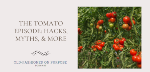 163.  THE Tomato Episode: Hacks, Myths, & More
