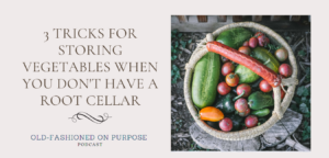 167.  3 Tricks for Storing Vegetables When You Don’t Have a Root Cellar