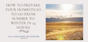 165.  How to Prepare your Homestead to go from Summer to Winter in 24 Hours