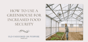 Season 4: Episode 8: How to Use a Greenhouse for Increased Food Security