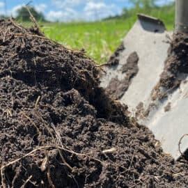The Best Organic Fertilizers | Compost