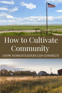 How to Cultivate Community While Homesteading