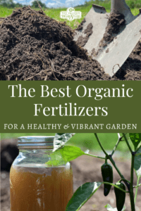The Best Organic Fertilizers for Your Vegetable Garden