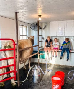 Homesteading with Kids Milk Parlor