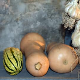 Store Vegetables Without a Root Cellar