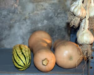Store Vegetables Without a Root Cellar