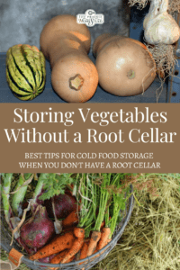 Top Tips For Storing Vegetables Without a Root Cellar
