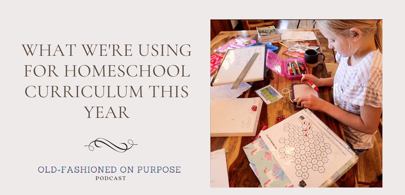 What We're Using for Homeschool Curriculum This Year