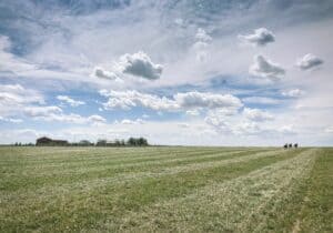 How to Create a Healthy Pasture