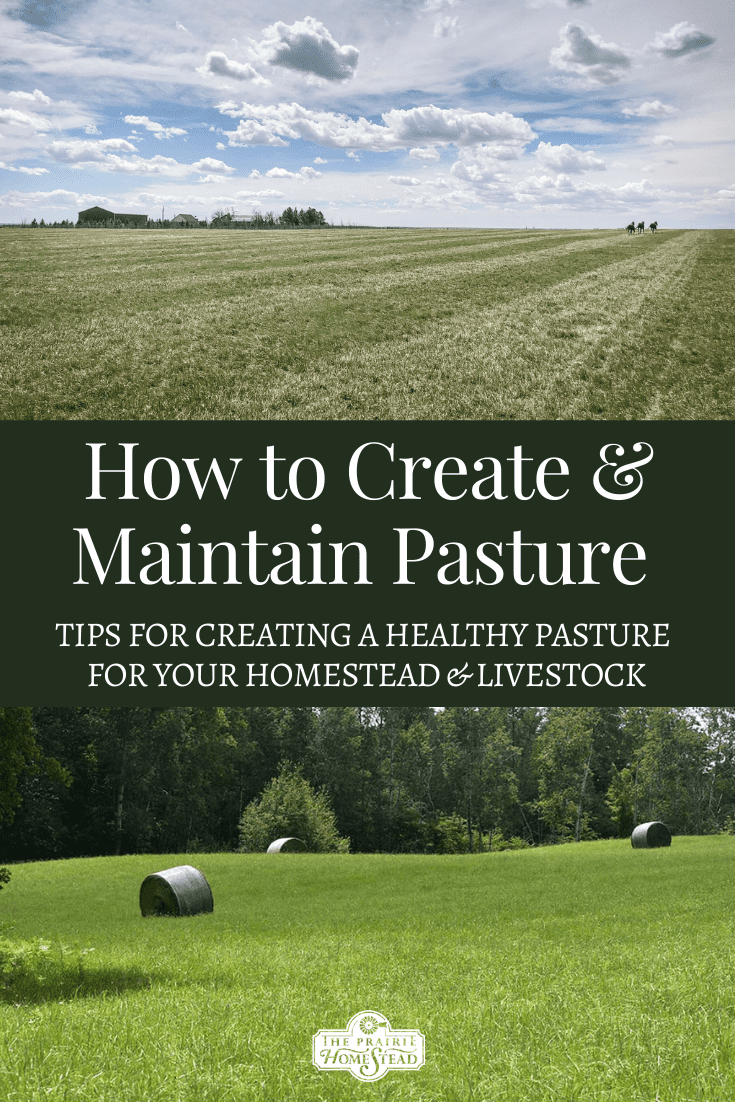 How to Create and Maintain Pasture Land
