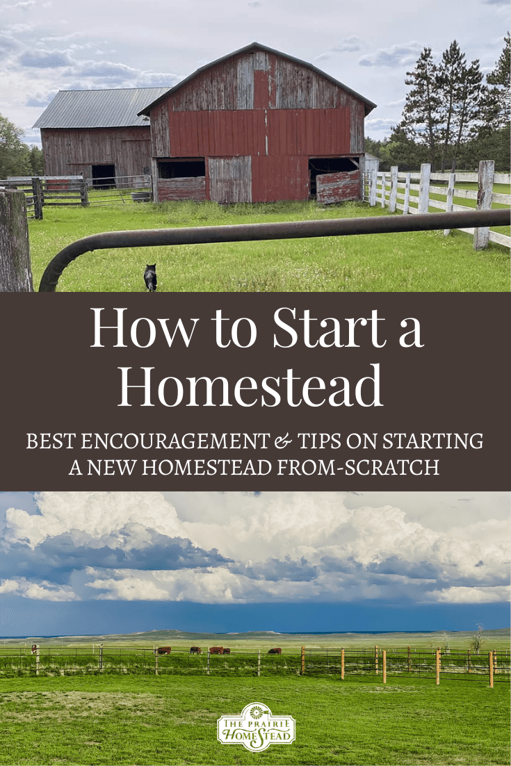 How to Start a Homestead From Scratch