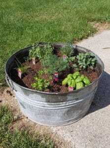 Plant a Victory Garden | Container Harden