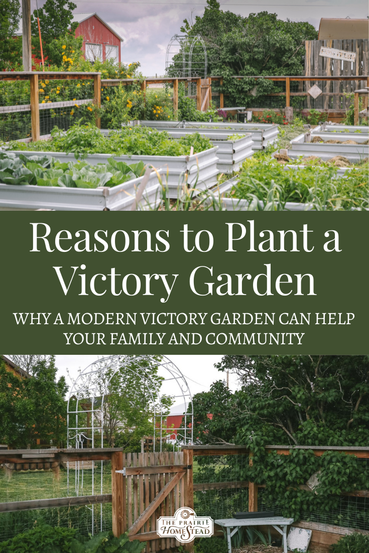 Reasons to Plant a Victory Garden