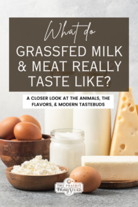 What do Grassfed Milk & Meat REALLY Taste Like