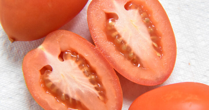 Saving Tomato Seeds