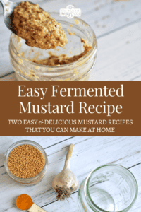 Easy Fermented Mustard Recipe