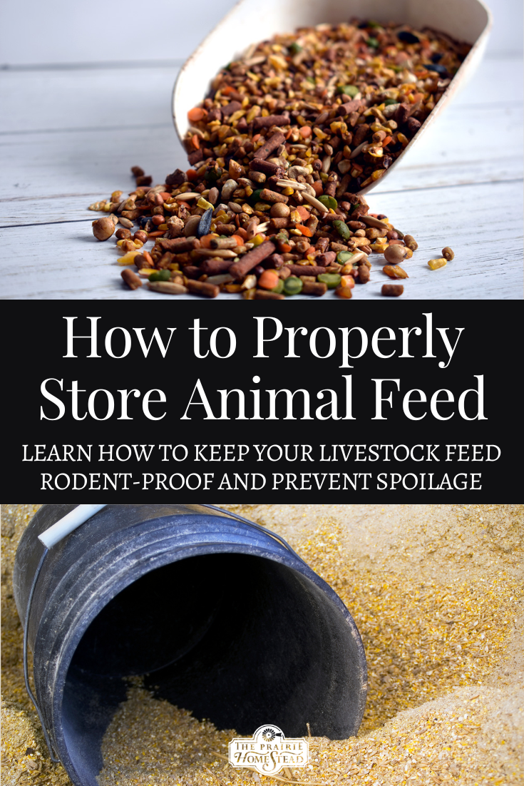 How to Store Animal Feed