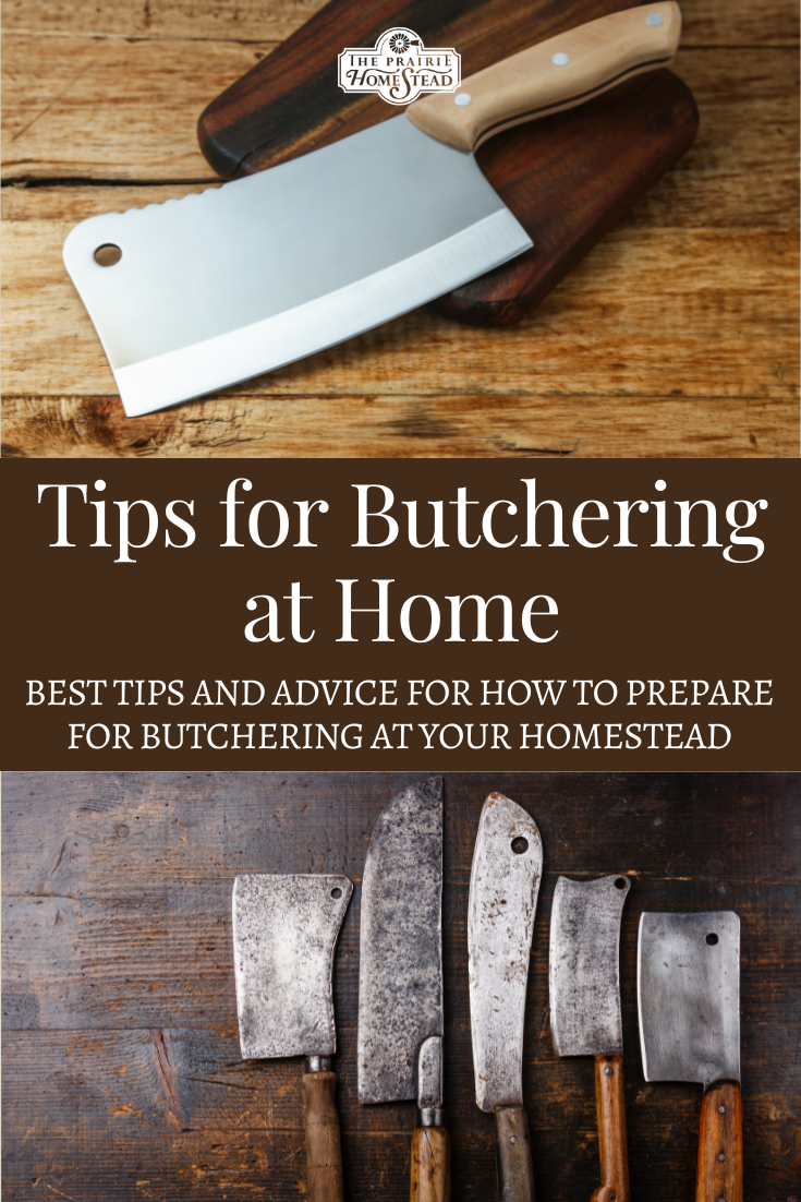 Tips for Butchering at Home