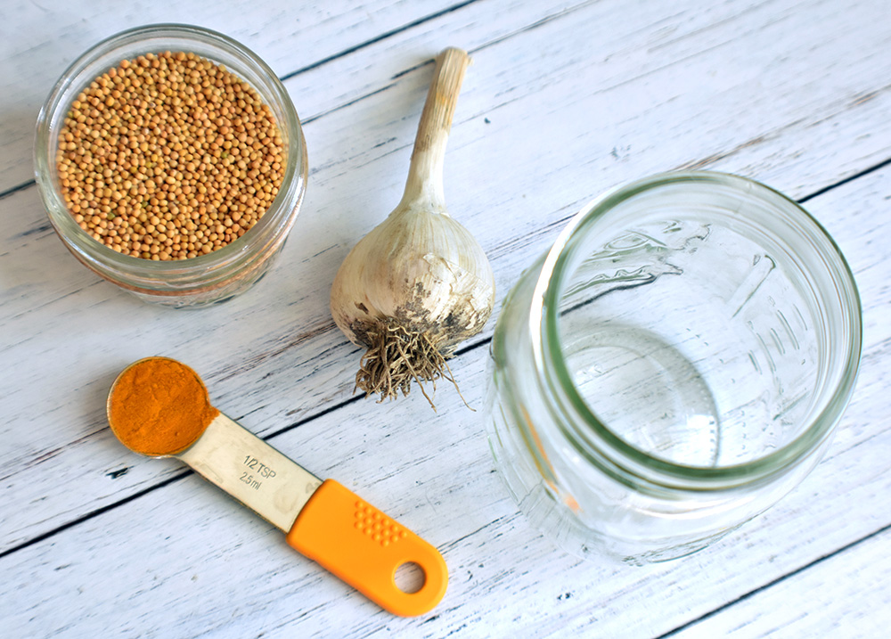 Making Fermented Mustard | Ingredients
