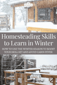 Homesteading Skills to Develop Over Winter