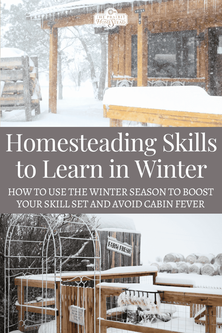 Homesteading Skills to Develop Over Winter