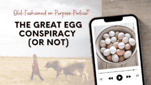 Season 11: Episode 9: The Great Egg Conspiracy (or not)