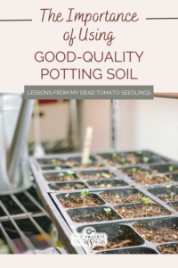 Why Good Potting Soil is Important (and the Story of My Dead Tomato Seedlings)