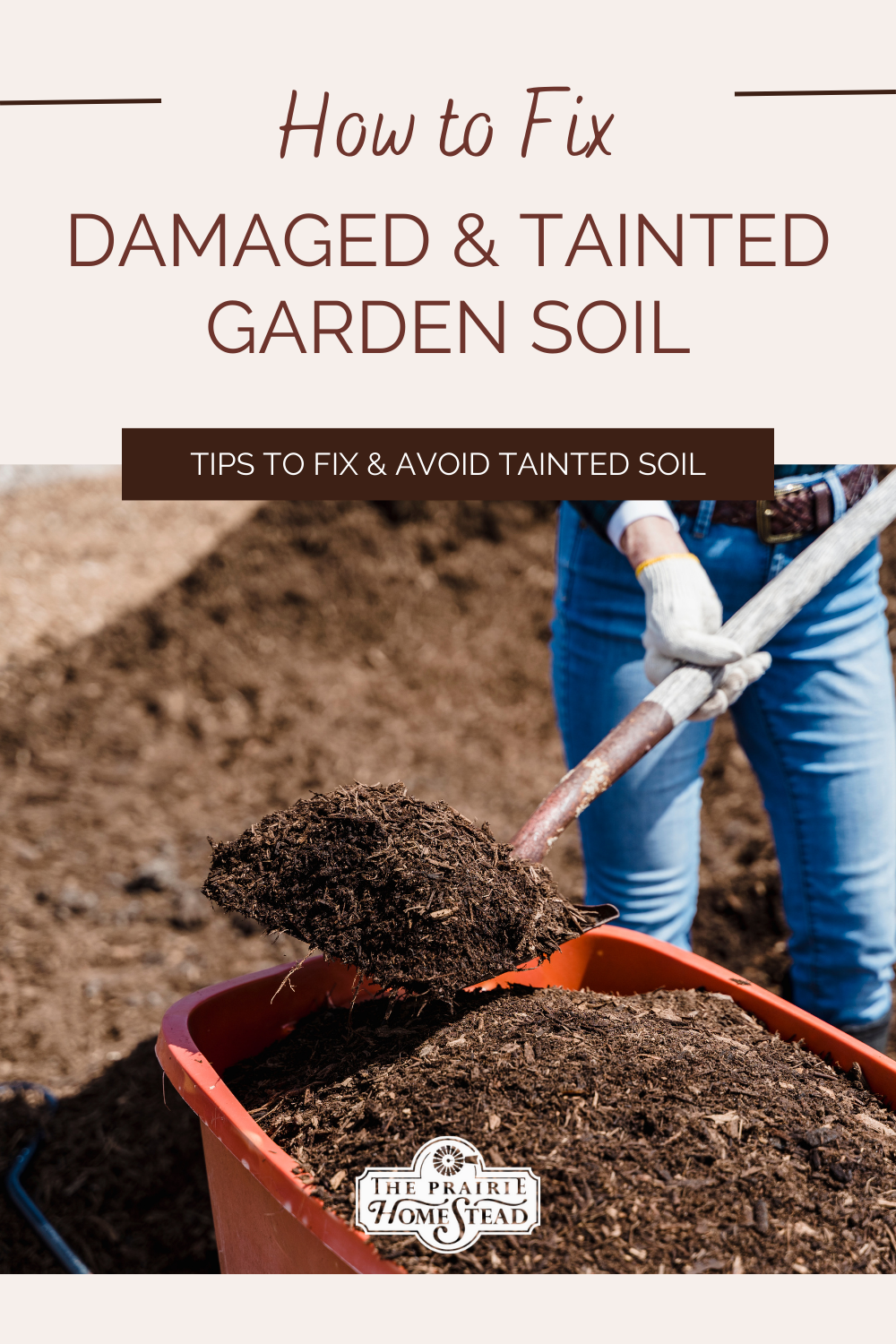 How to Fix Tainted Soil