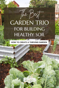 The Best Garden Trio for Building Healthy Soil