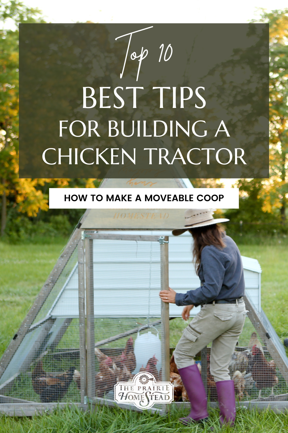 Top 10 Tips for Building a Chicken Tractor