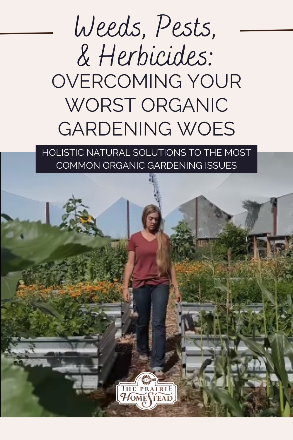 Weeds, Pests, & Herbicides: Overcoming Your Worst Organic Gardening Woes