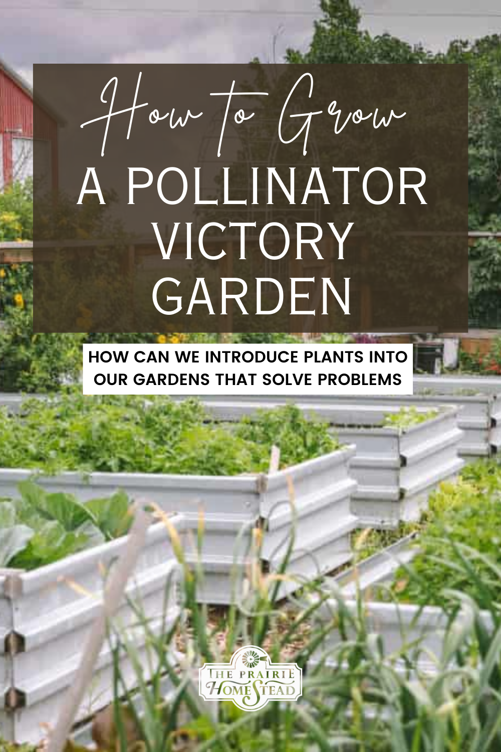 How to Grow a Pollinator Victory Garden