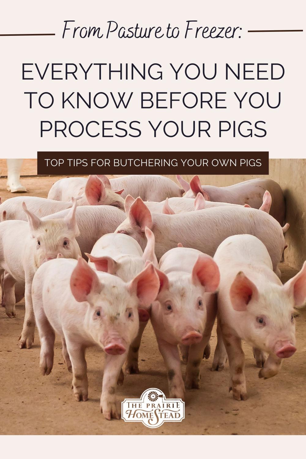 What You Need to Know Before You Process Your Home-Raised Pigs