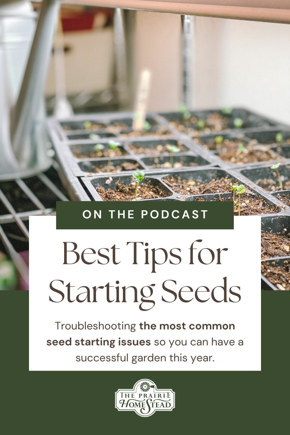 Top Tips for Starting Seeds