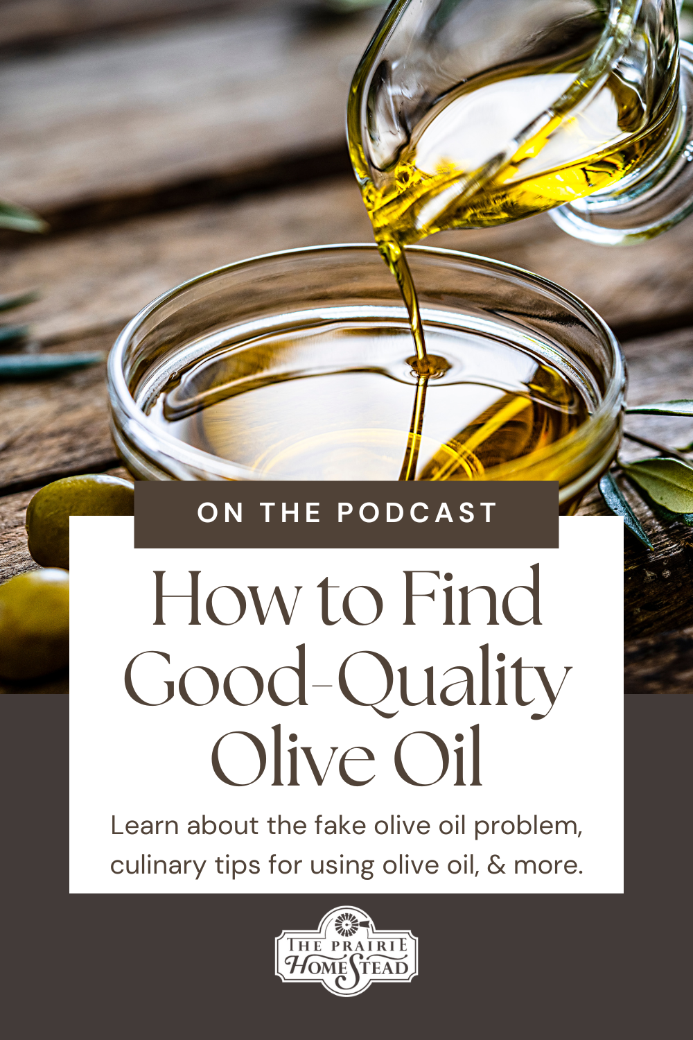 The Wild & Wonderful World of Olive Oil (and why it matters to you!)