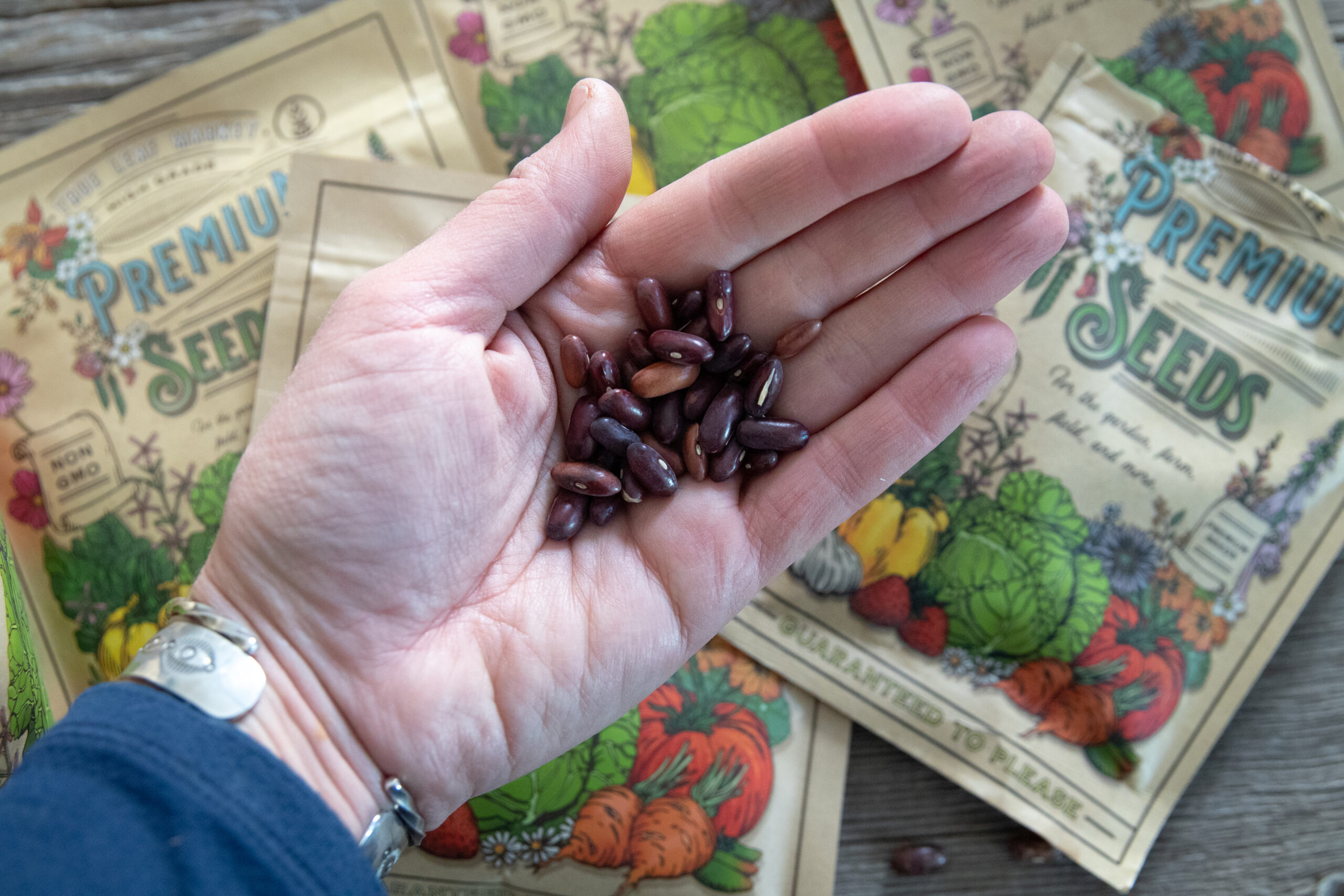 How to Organize Your Seeds