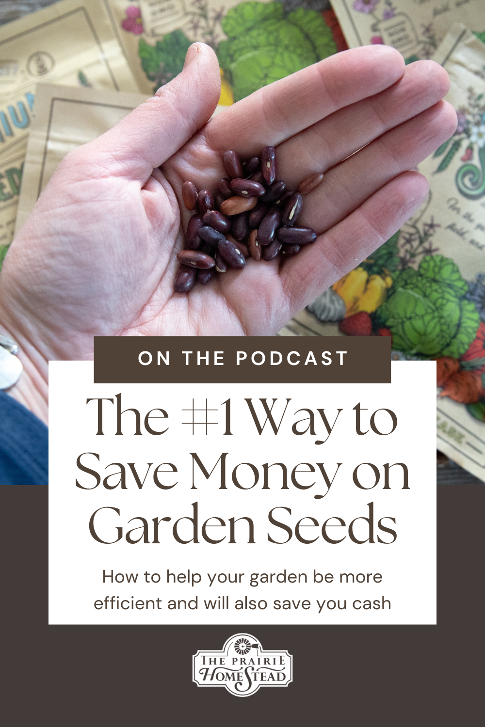 The #1 Way to Save Money on Garden Seeds