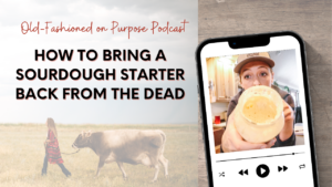 Season 14: Episode 13: How to Bring a Sourdough Starter Back from the Dead