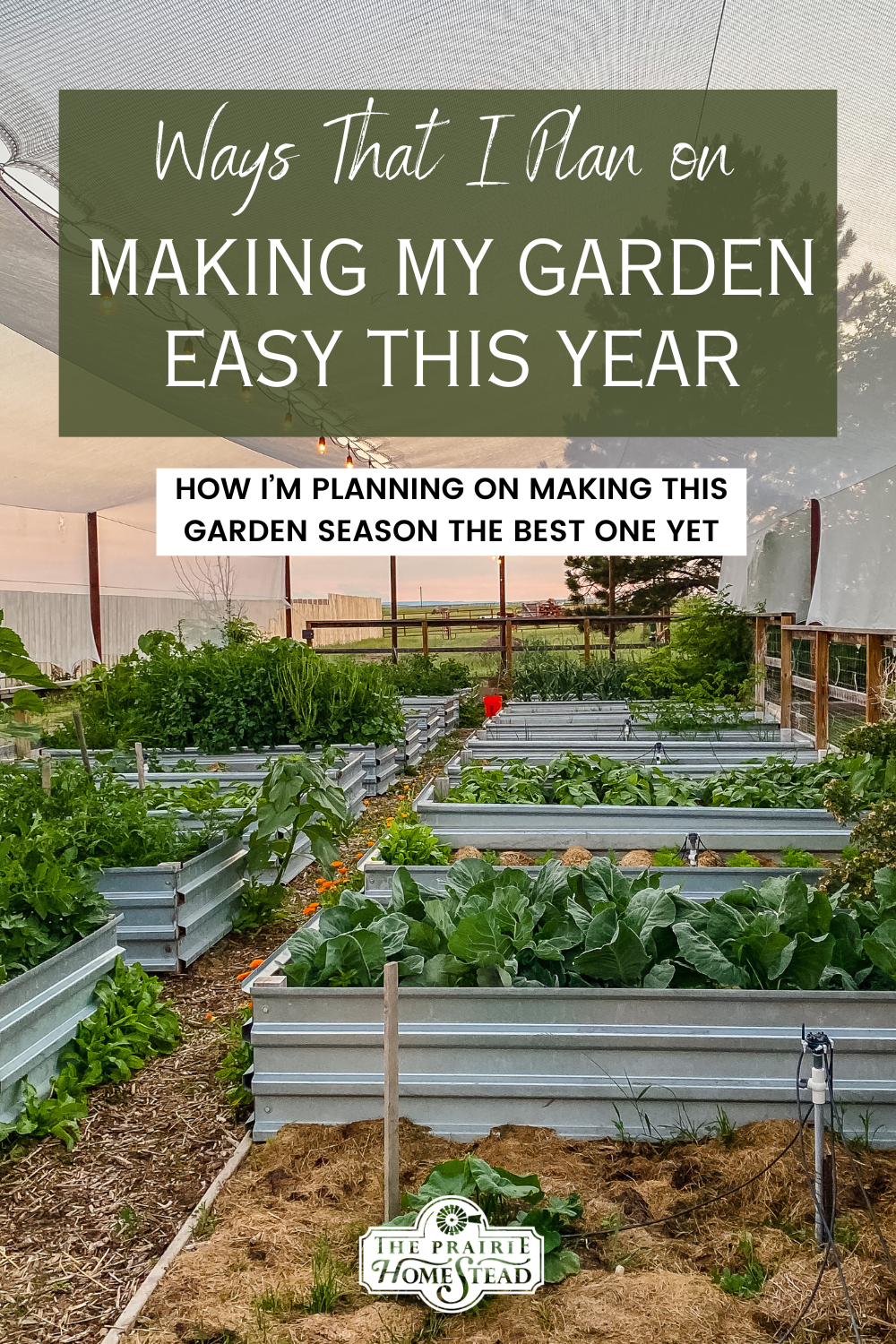 How I'm Letting My Garden Be Easy This Year