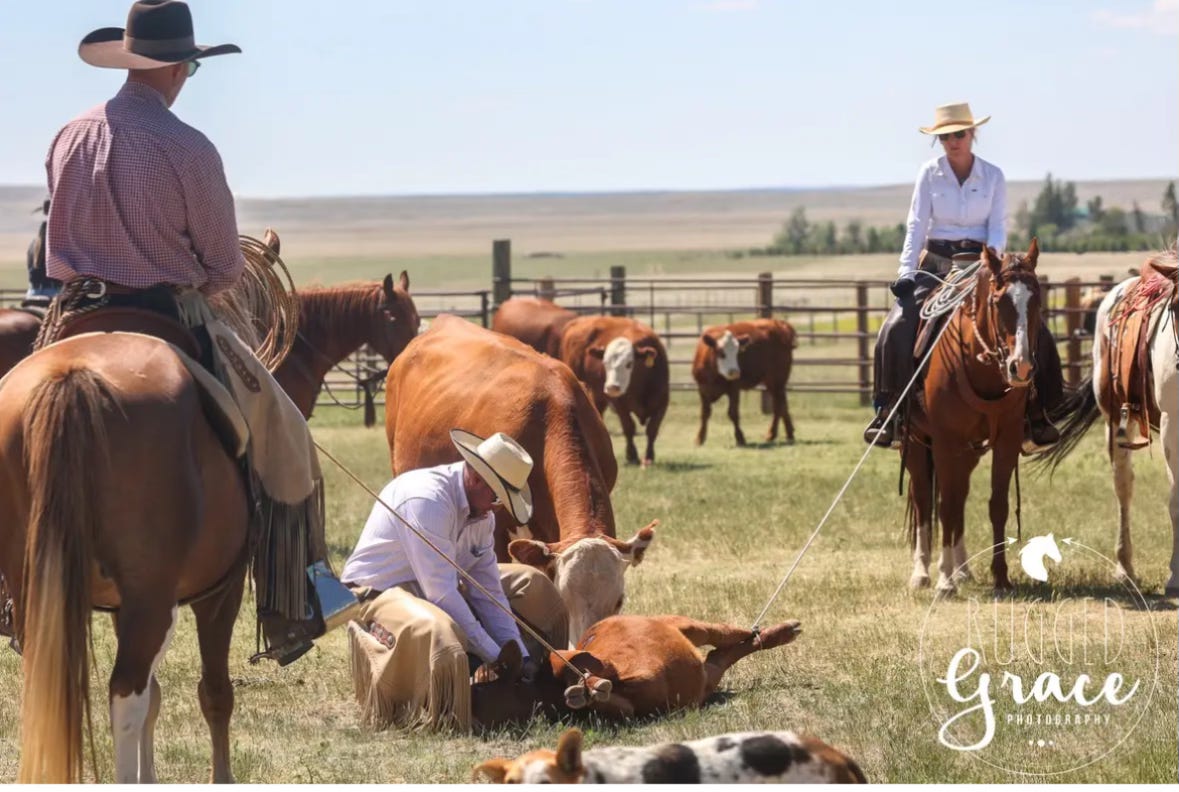 Embarrassment is the Cost of Entry